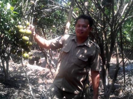 Desa Kebonsari, Manis Jeruknya Ramah Masyarakatnya